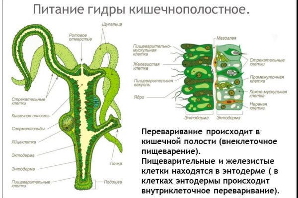 Купить наркотики через кракен