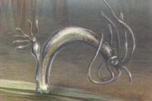 Kraken12 at сайт