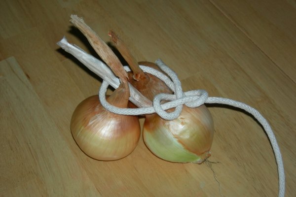 Kraken tor onion